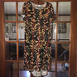 LuLaRoe Carly Dress